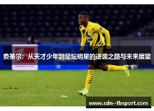 费基尔：从天才少年到足坛明星的逆袭之路与未来展望
